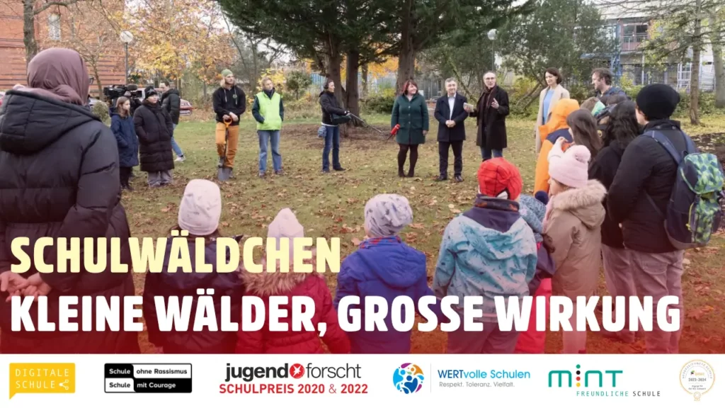 schulwaldchen kleine walder grosse wirkung